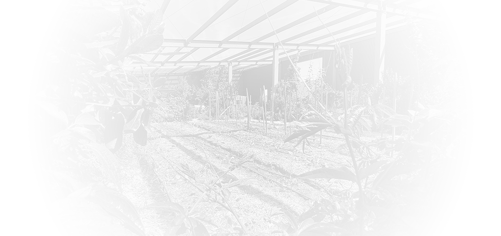 visuel bannière RSE Bordeaux Lac